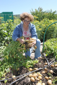 Напоминаем о новых выпусках "Дачного Сезона"