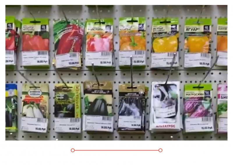 В продажу поступили семена от лучших производителей