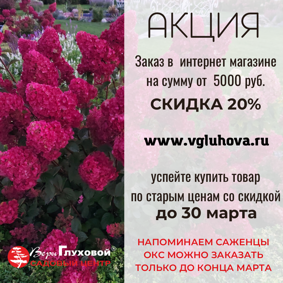 АКЦИЯ: заказ через интернет магазин на сумму от 5000₽ скидка 20% АКЦИЯ: заказ через интернет магазин на сумму от 5000₽ скидка 20%