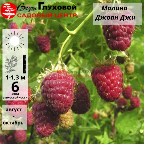 Основное изображение товара