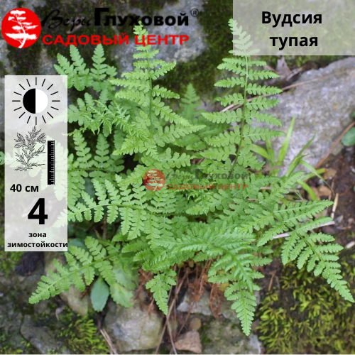 Основное изображение товара