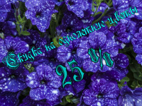 С 25 мая скидка на однолетние цветы 25%