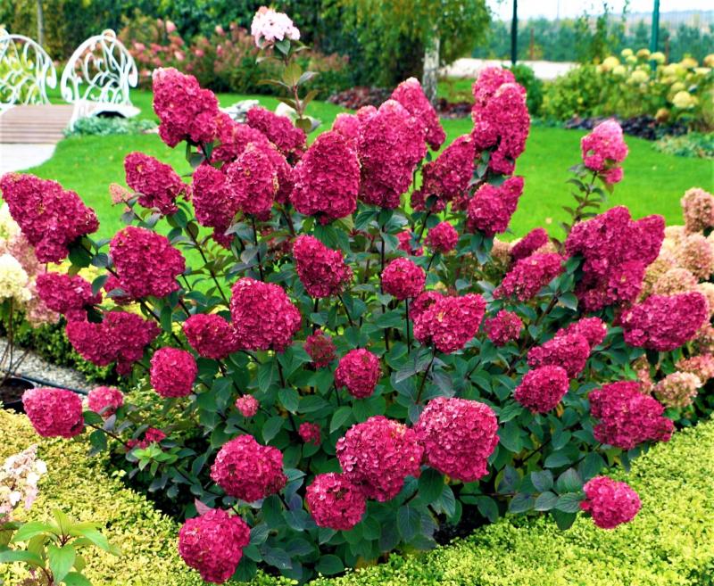 Интернет- продажи открыты!