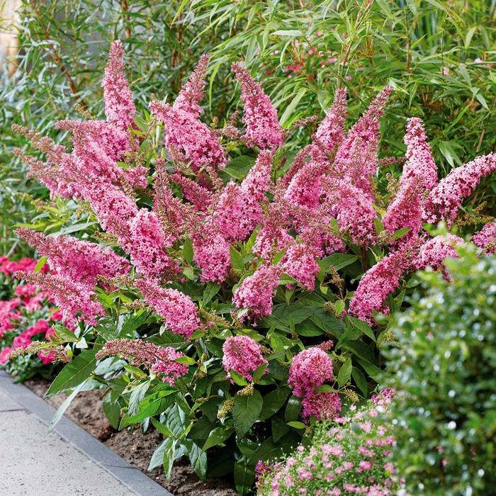 Основное изображение товара