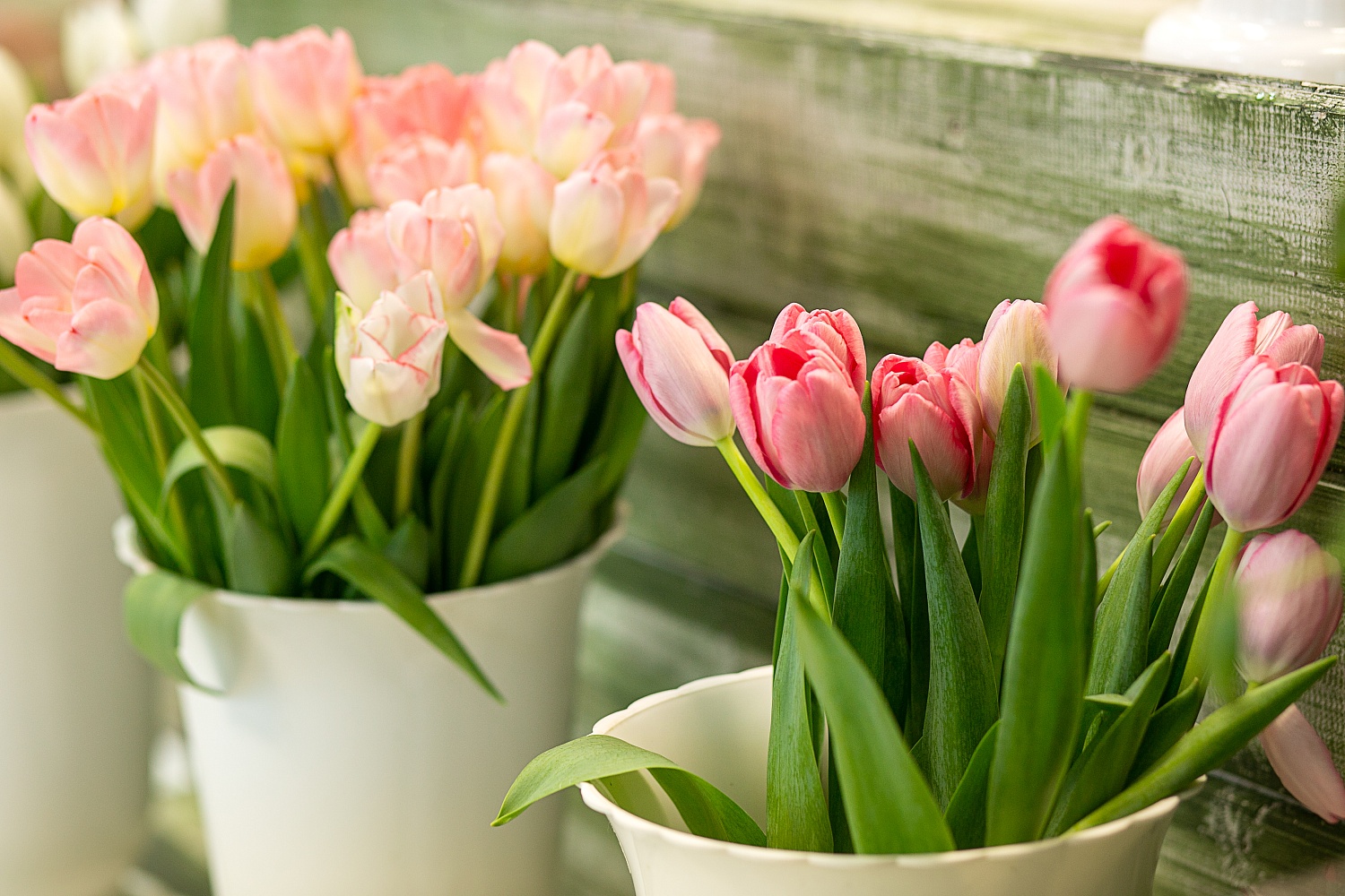 Пункт прием заказов весеннего настроения открыт!