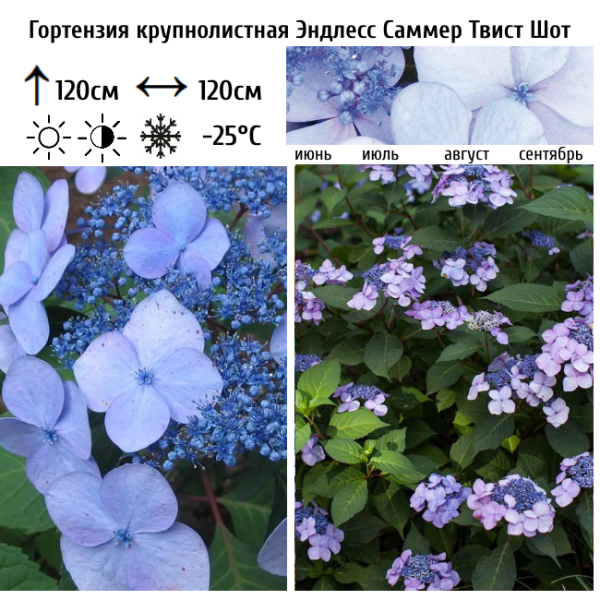 Основное изображение товара