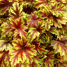 Основное изображение товара