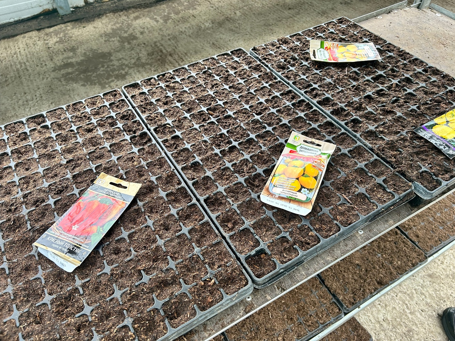 С заботой о дачниках