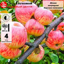 Основное изображение товара