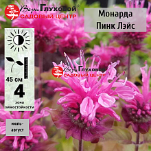 Основное изображение товара