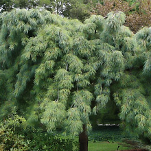 Основное изображение товара