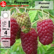 Основное изображение товара