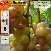 Основное изображение товара