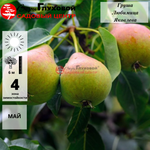 Рисунок 125.jpg