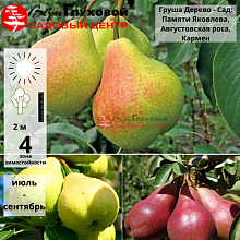 Основное изображение товара