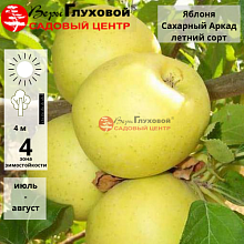 Основное изображение товара