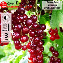 Основное изображение товара