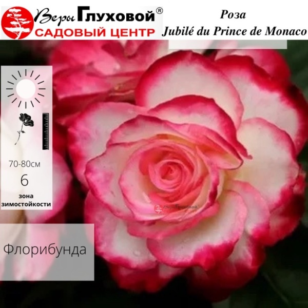 Основное изображение товара